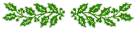 houx.gif